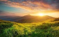 test_79